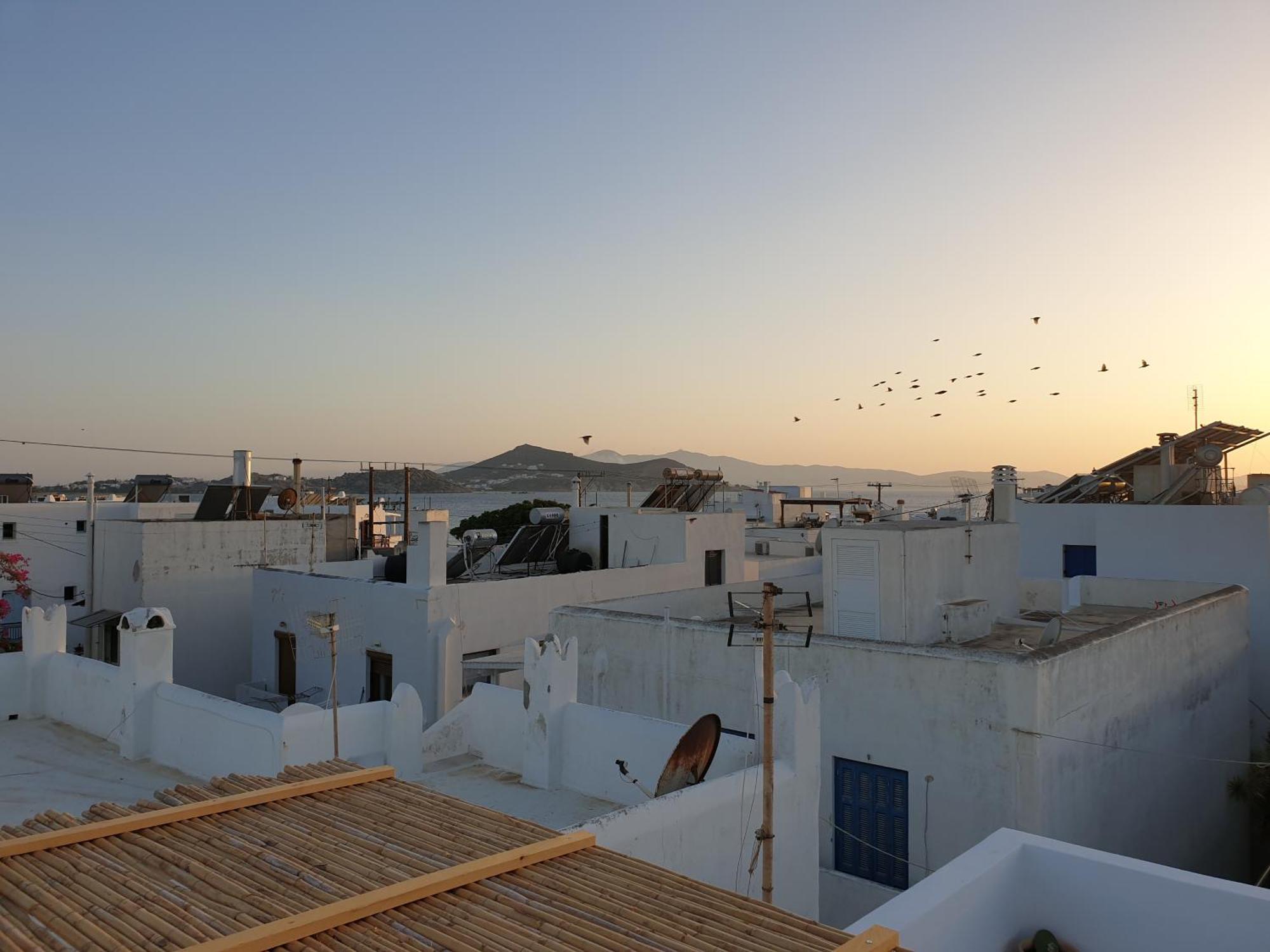 My Island Homes And Residence Naxos City 部屋 写真